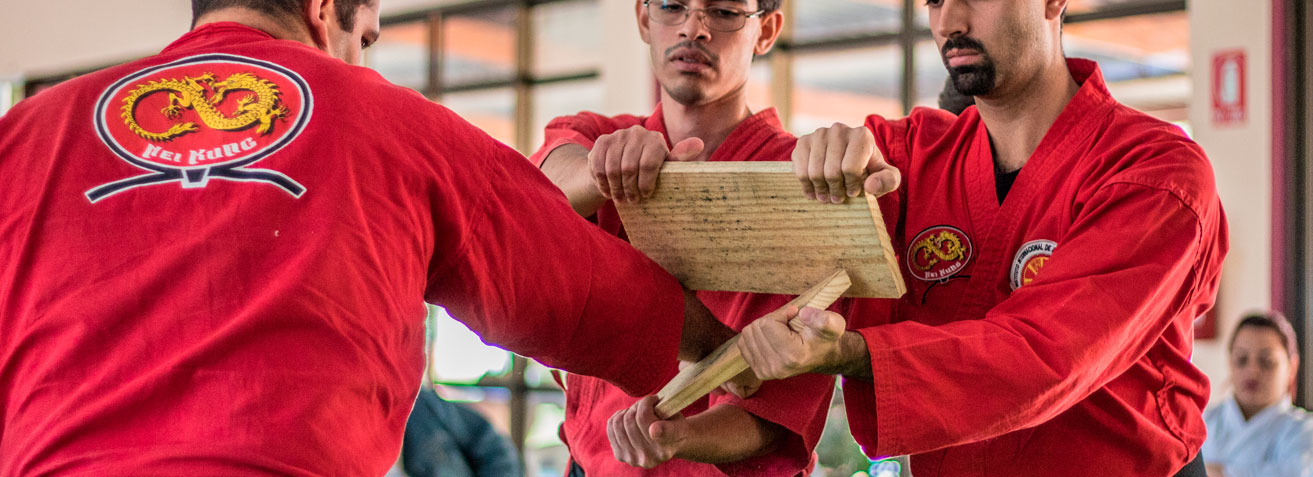 Bodhidharma Início 02