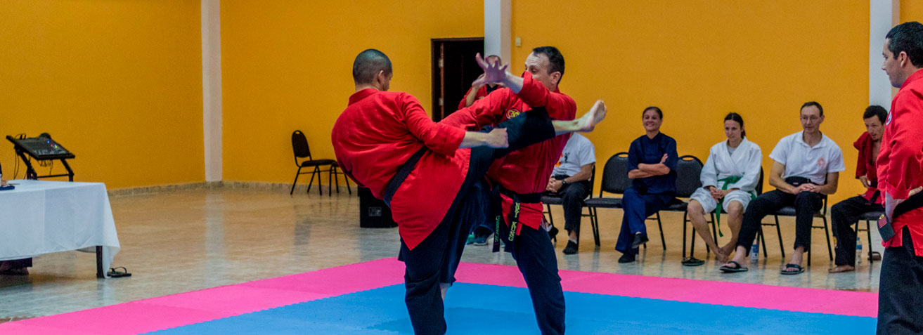 Bodhidharma Início 03