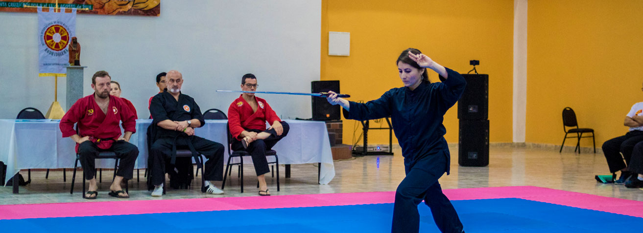 Bodhidharma Início 07